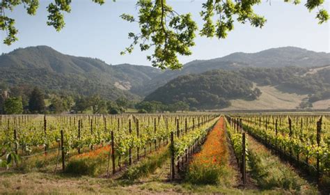 california wine country travel